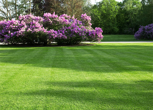 Grass Seed & Sod in Burlington County, NJ | Fairway Lawns and Landscaping