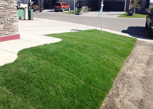 Grass Seed & Sod in Burlington County, NJ | Fairway Lawns and Landscaping