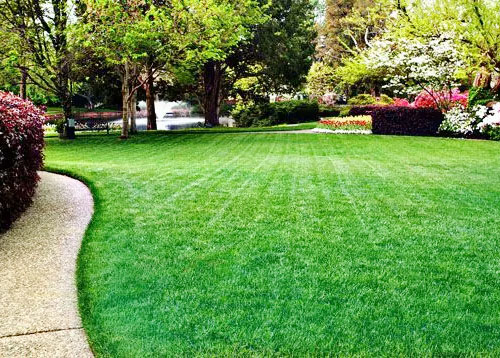 Grass Seed & Sod in Burlington County, NJ | Fairway Lawns and Landscaping