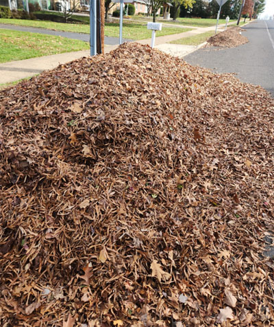 Landscaping in Burlington County, NJ | Fairway Lawns and Landscaping