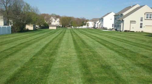 Lawn Care & Mowing in Burlington County, NJ | Fairway Lawns and Landscaping