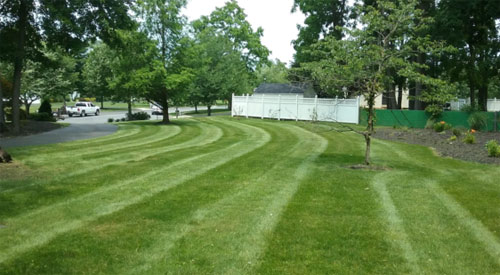 Lawn Care & Mowing in Burlington County, NJ | Fairway Lawns and Landscaping