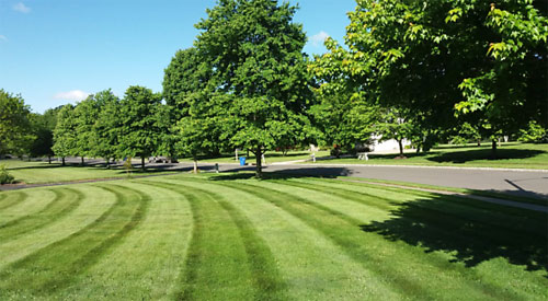 Lawn Care & Mowing in Burlington County, NJ | Fairway Lawns and Landscaping